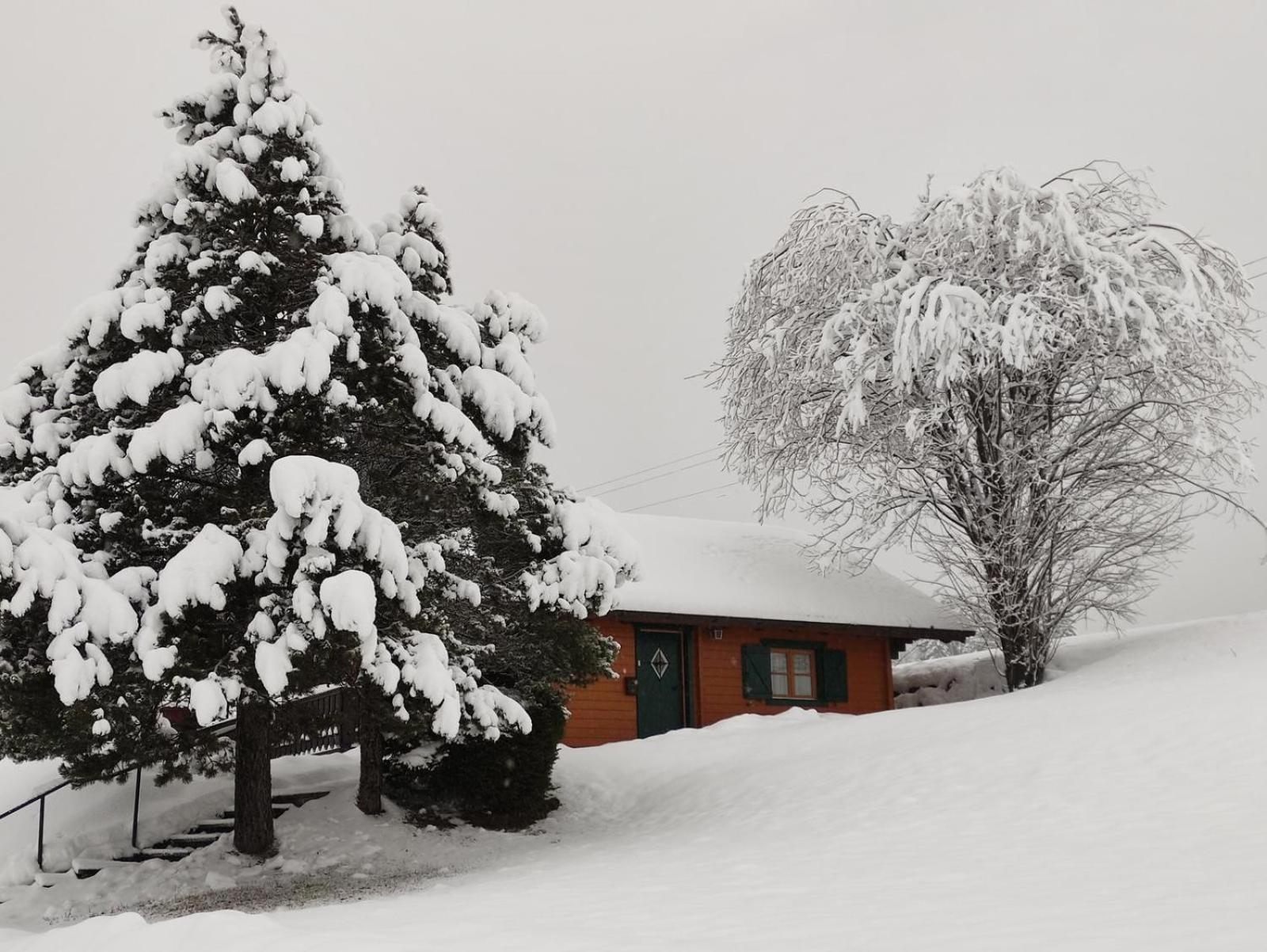 Haus Otis * Bad Mitterndorf